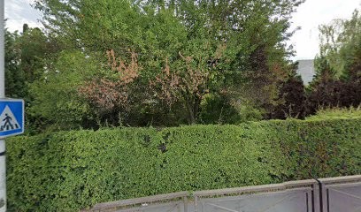 Cabinet Médical Des Docteurs Lévy Jean-Paul Et Collet Pierre, Médecin Généraliste à Champs-sur-Marne