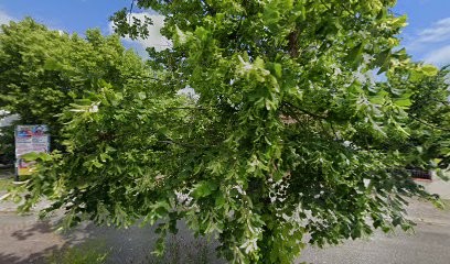Agapei, Centre Médical à Saint-Orens-de-Gameville