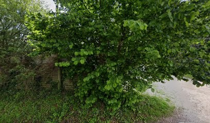 Vila Carne Ingrid, Médecin Généraliste à Tresses