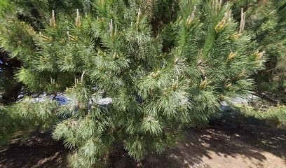 Vellard Patrick, Médecin Généraliste à Saint-Georges-d'Oléron