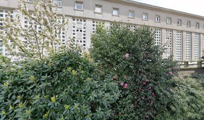 Diamorphos, Médecin Généraliste à Brest