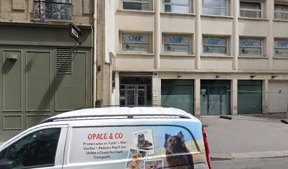 Benchetrit David, Médecin Généraliste à Paris 08