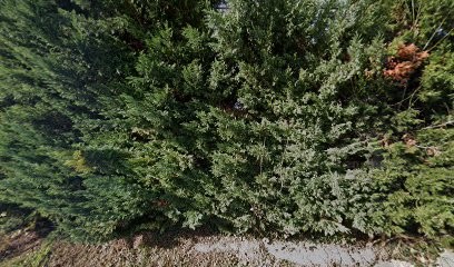 Passerini Nicole, Médecin Généraliste à Montgaillard