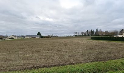 Celle Michel, Médecin Généraliste à Longué-Jumelles