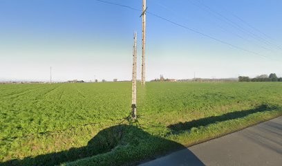 Klopocki-Giard Suzanne, Médecin Généraliste à Douchy-les-Mines