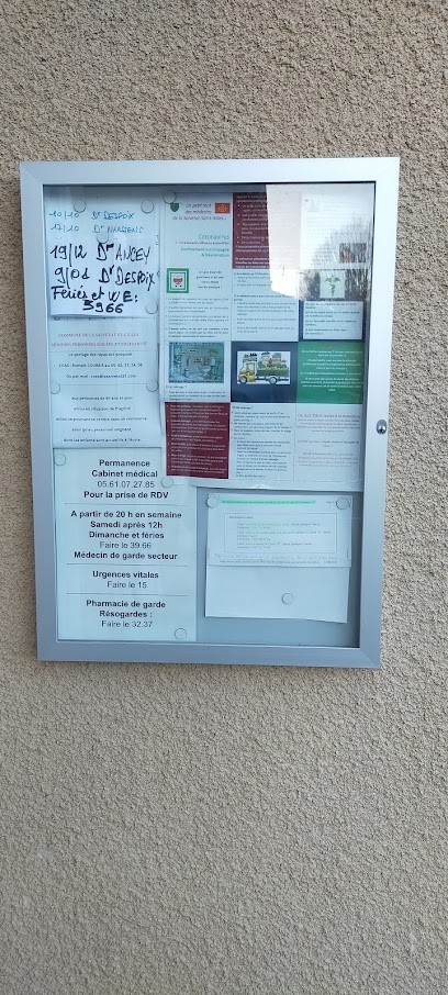 Despoix Véronique, Médecin Généraliste à La Salvetat-Saint-Gilles