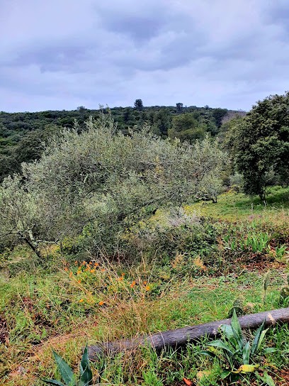 Dr Pierre Lacaze, Médecin Généraliste à Arcueil
