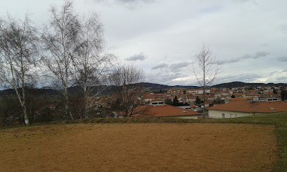 Apf France Handicap, Centre Médical à Saint-Martin-en-Haut