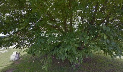 Docteur Elger, Médecin Généraliste à Velle-le-Châtel