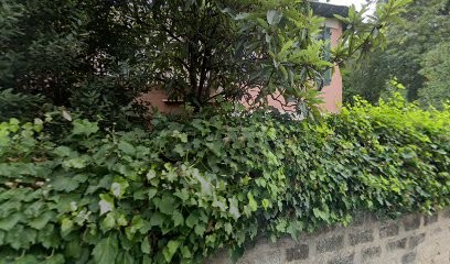 Scm Des Drs Gros Et Decourt, Médecin Généraliste à Montpellier