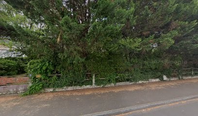 Trémoulet Philippe, Médecin Généraliste à Talence