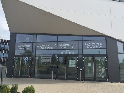 Cabinet D'Angiologie, Centre Laser Médico-Chirurgical, Dr RAVELOJAONA & Associés, Médecin Généraliste à Schiltigheim