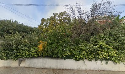 Blans Alain, Médecin Généraliste à Nîmes