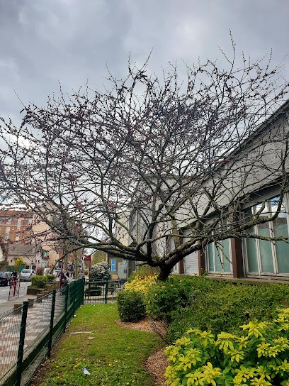 Municipal Centre De Santé Henri Tauleigne, Centre Médical à Bondy