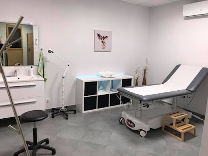 Guillet Christophe, Médecin Généraliste à Châtonnay