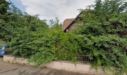 Wittemer Wittemer Vidot Laetitia, Médecin Généraliste à Lingolsheim