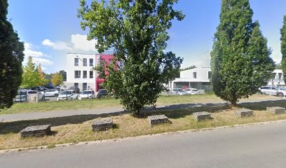 Dr. Patricia PIERRE TERREE, Médecin Généraliste à La Roche-sur-Yon