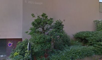 Gaumont Nathalie, Médecin Généraliste à Quetigny