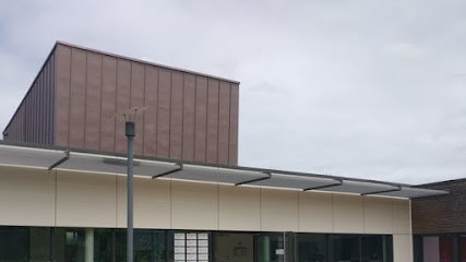 Docteur Angoulvant Cécile, Médecin Généraliste à Brûlon