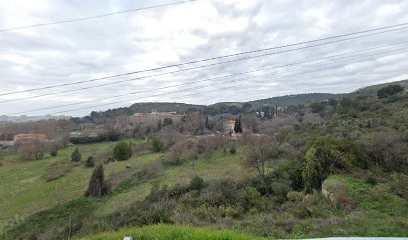 Dr Marion ZAMI - Addictologue, Médecin Généraliste à Marseille 14