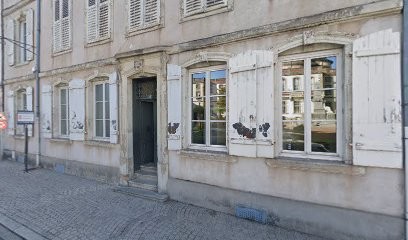 Arguello Et Guillaumot SCP Des Docteurs, Médecin Généraliste à Lunéville