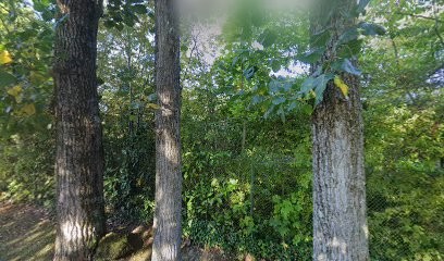 Docteur Nathalie Lengignon, Médecin Généraliste à Gif-sur-Yvette