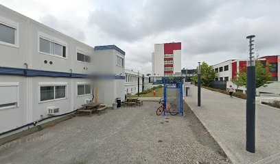 Chartron Philippe, Médecin Généraliste à Muret