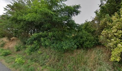 Faure Brigitte, Médecin Généraliste à Montégut-Lauragais