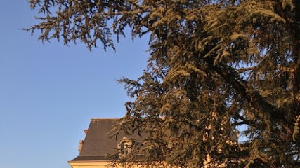 Dr Sofiane TIROUCHE, Médecin Généraliste à Clichy-sous-Bois