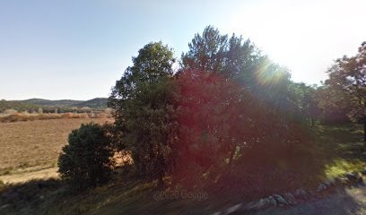 Pointud Bresson Brigitte, Médecin Généraliste à Quissac