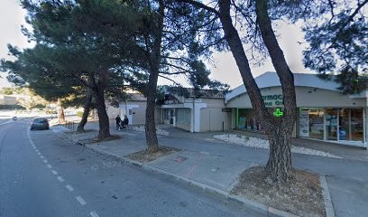 Docteur Camille Pascal Gorincour, Médecin Généraliste à Aix-en-Provence