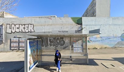 Tahir Lyes, Médecin Généraliste à Marseille 15