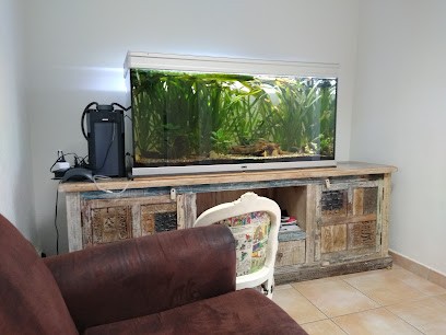 Cabinet Medical Noly Grimoin Karczynski, Médecin Généraliste à Rochefort