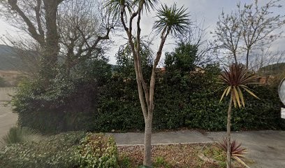 Ribois Frédéric, Médecin Généraliste à Solliès-Pont