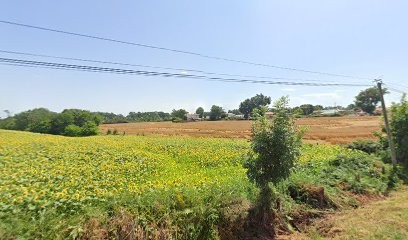 Cabrera Josiane, Médecin Généraliste à Saux-et-Pomarède