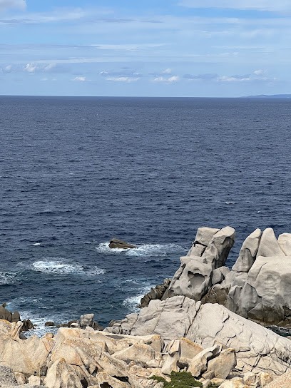 Cabinet Du Docteur Laura ARSENE, Médecin Généraliste à Cagnes-sur-Mer