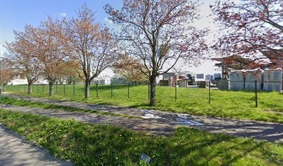 Buil Michel, Médecin Généraliste au Rheu