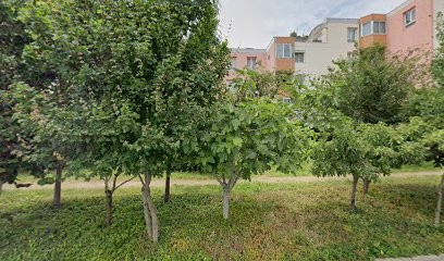 Raynal Jean-Noel, Médecin Généraliste à Blagnac