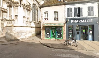 Espace De Téléconsultation - Médecin Généraliste Sans RDV, Médecin Généraliste à Villeneuve-sur-Yonne