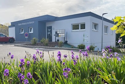 Maison Médicale Des Romains, Centre Médical à Reichshoffen