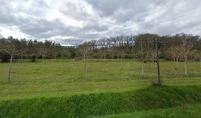 Cte Interentreprises Sante Travail, Médecin Généraliste à Nérac