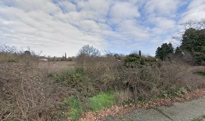Dr Le Gallais Marine, Médecin Généraliste à Toulouse