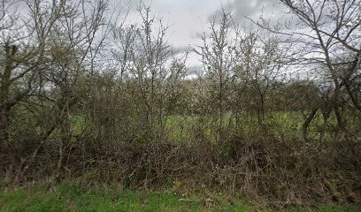 Centre Médico-Social, Médecin Généraliste à La Ville-Dieu-du-Temple