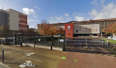 BeeTree - Télémédecine pour les séniors, Médecin Généraliste au Petit-Quevilly