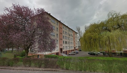 Lamamy-Schott Joëlle, Médecin Généraliste à Lingolsheim
