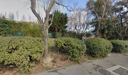 Dolo Maïsselem, Médecin Généraliste à Marseille 11