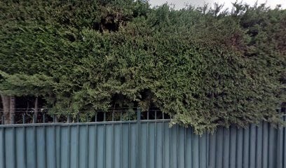 Saint Jean Salomon Eve, Médecin Généraliste à Marseille 08