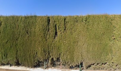 Docteur Lison Sophie, Médecin Généraliste à Marseille 13