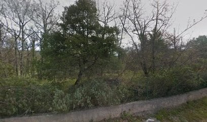 Docteur Nicole Maguy - Acupuncture/ Nutrition/ Homéopathie, Médecin Généraliste à Saint-Cézaire-sur-Siagne