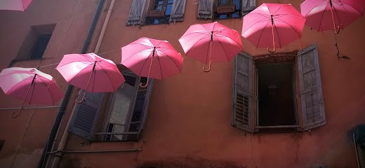 Dr Ioana CATARGIU, Médecin Généraliste à Grasse